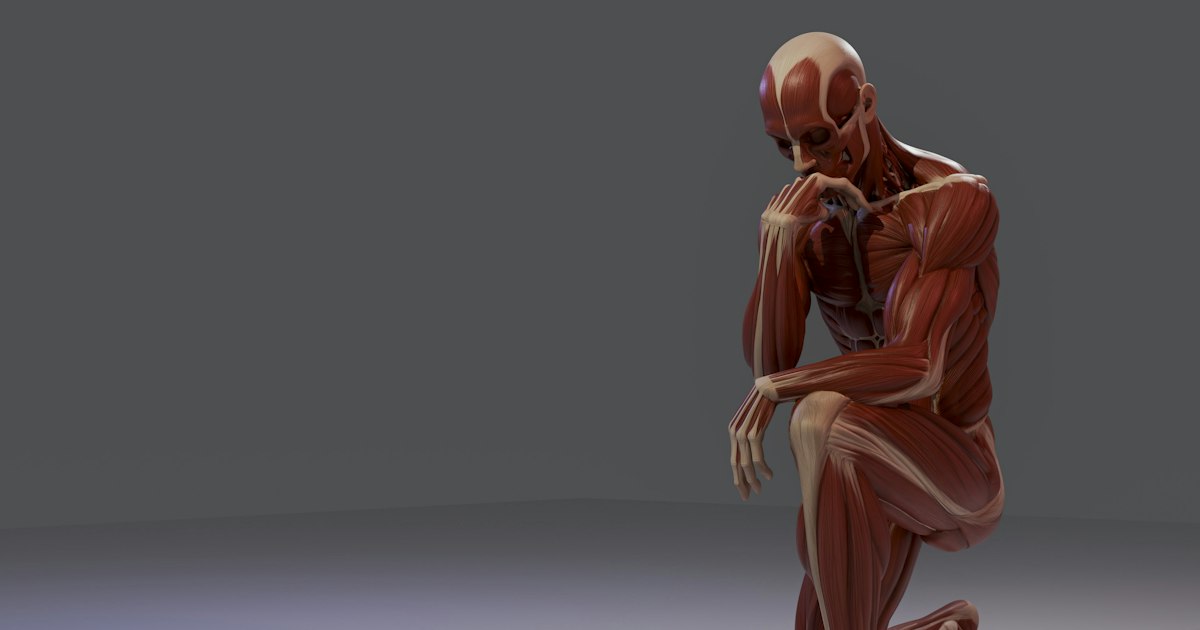 Glutamine and the Liver and Kidneys: Is It Safe