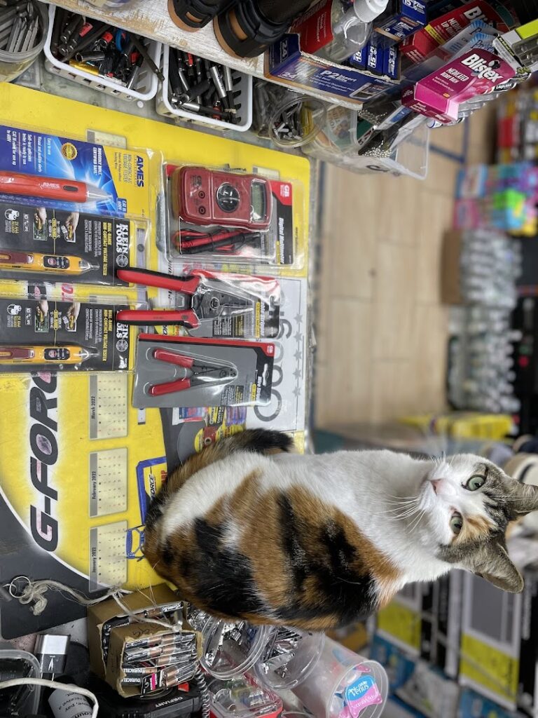 Ferretería Hardware store N discount corp cerca de mi