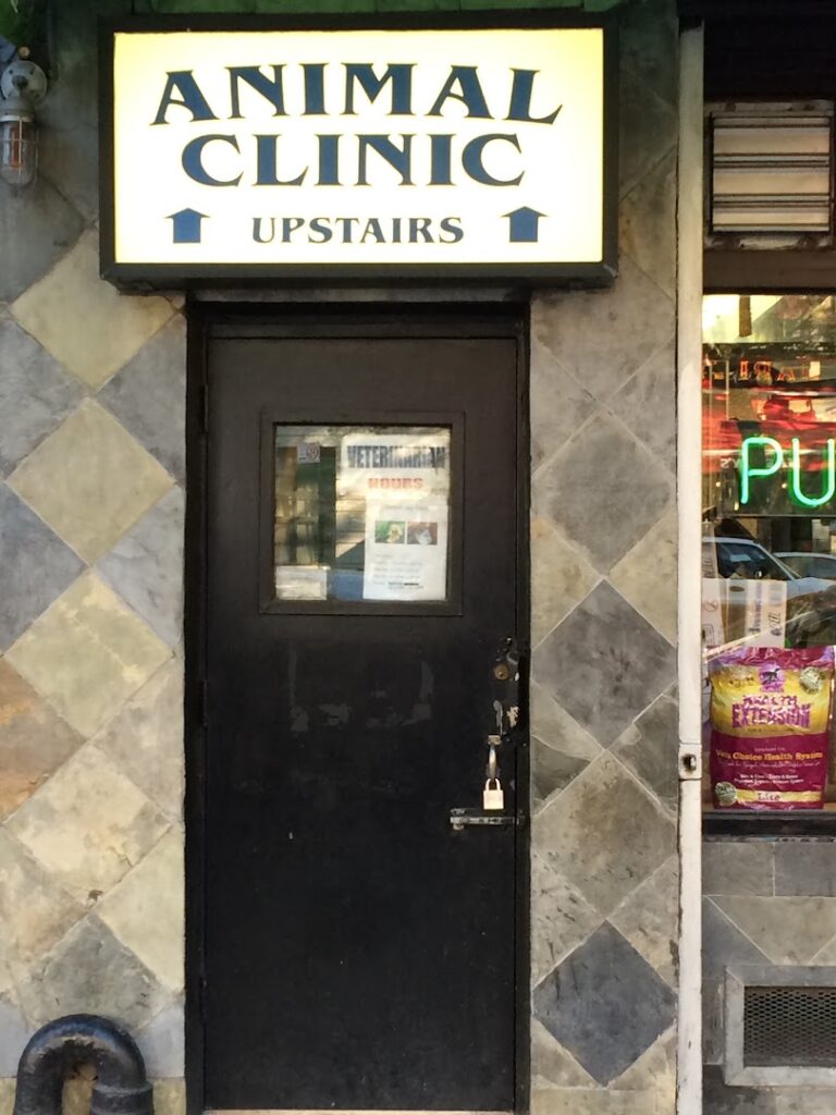 Cuidados veterinarios Ideal Pet Veterinary Clinic cerca de mi