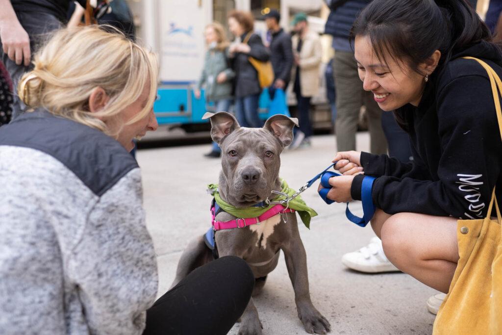 Servicio de adopción de mascotas Muddy Paws Rescue cerca de mi