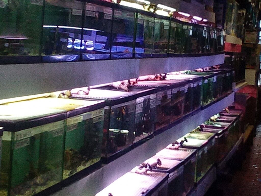 Tienda de animales Paradise Aquarium cerca de mi