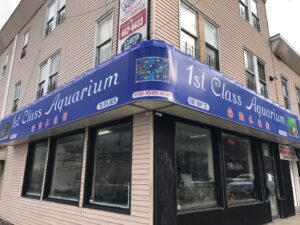 Aquarium shop 1st Class Aquarium near me