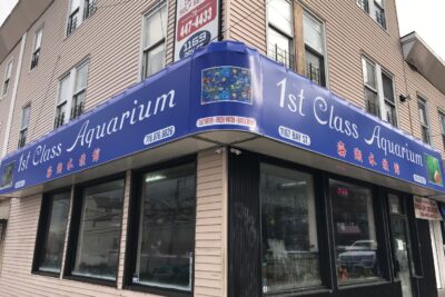 Aquarium shop 1st Class Aquarium near me