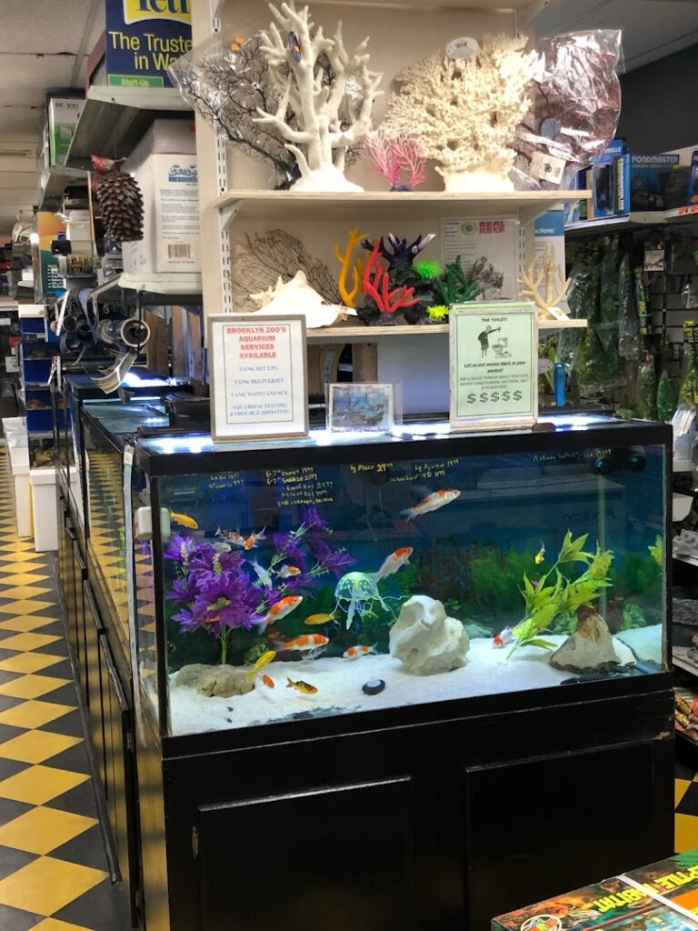 Pet store Brooklyn Zoo & Aquarium Pet Store near me