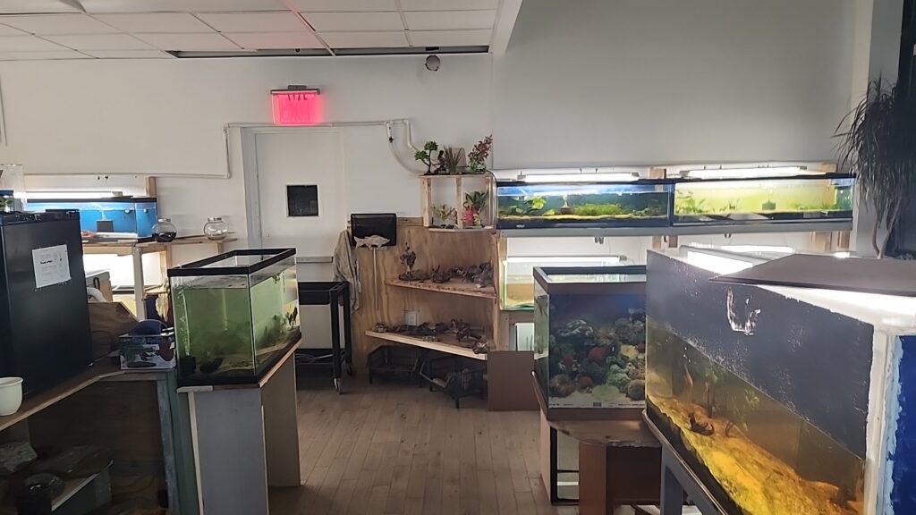 Aquarium shop City Island Aquarium Tropical Fish Sales near me