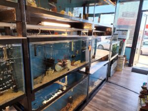 Aquarium shop FISH ADDICTS NYC near me