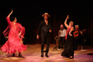 Dance company Flamenco Latino near me