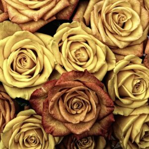 Florist Flowers, Naturally! near me