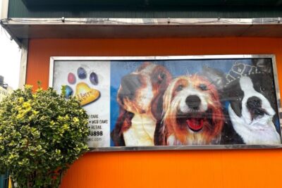 Pet store Happy Paws Pet Resort near me