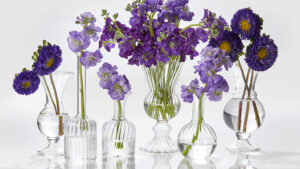 Florist Jamali Floral & Garden near me