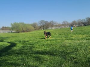 Soccer field Kissena Park Soccer Turf Field near me