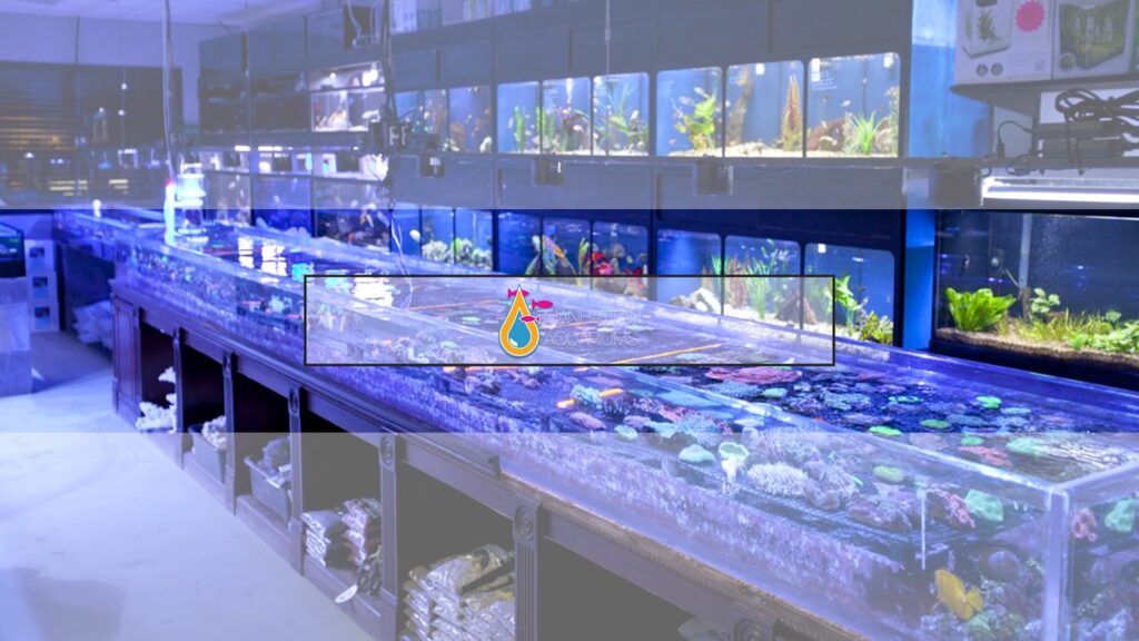 Tropical fish store Manhattan Aquariums near me