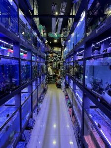 Aquarium shop Monster Aquarium Inc. near me