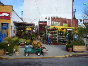 Garden center Natty Garden near me