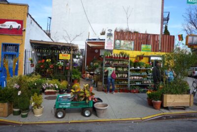 Garden center Natty Garden near me