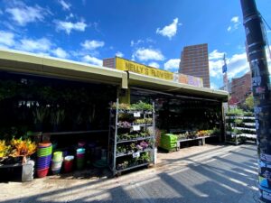 Florist Nelly's Flowers And Plants near me