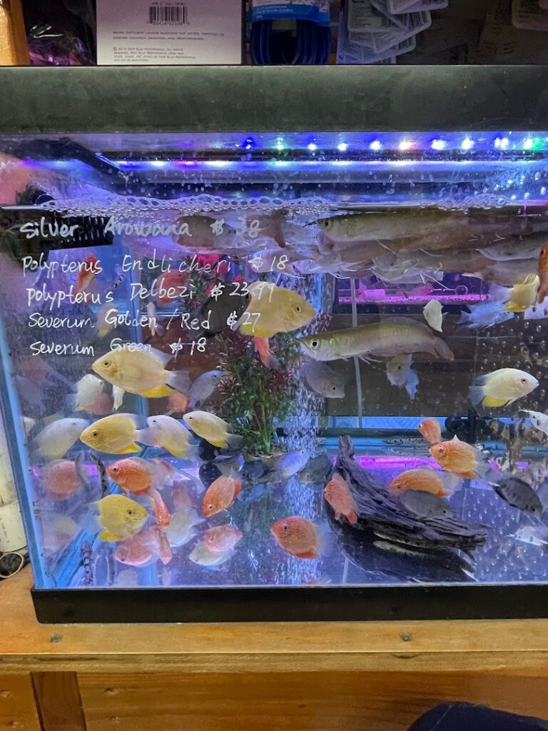 Pet store New Lucky Fish Aquarium & Pet Supply near me