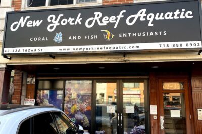 Tropical fish store New York Reef Aquatic near me