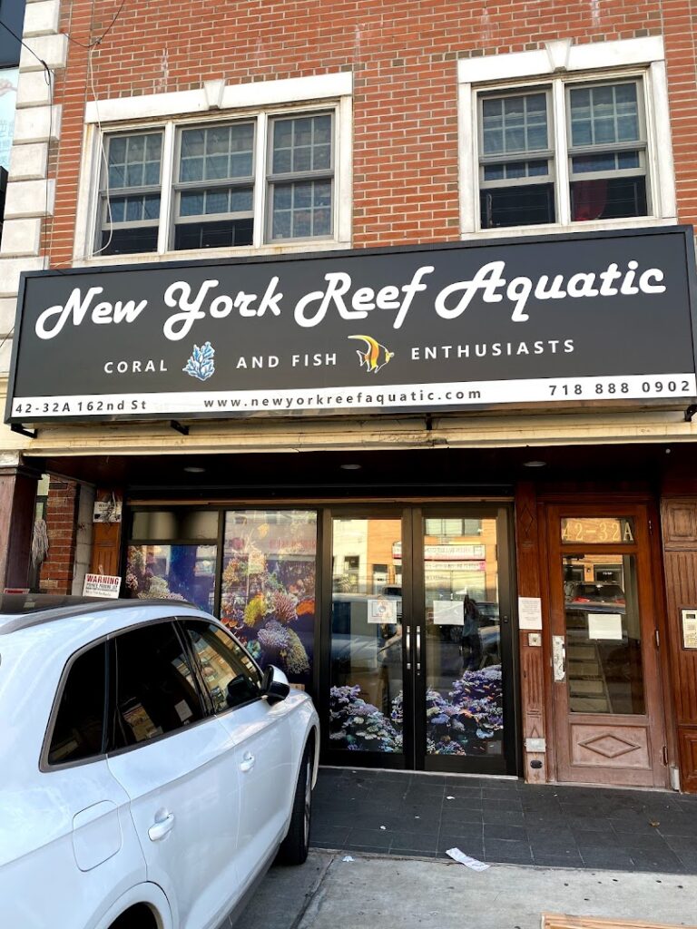 Tropical fish store New York Reef Aquatic near me