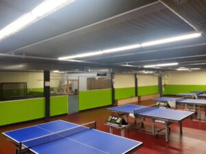 Table tennis facility New York Table Tennis near me