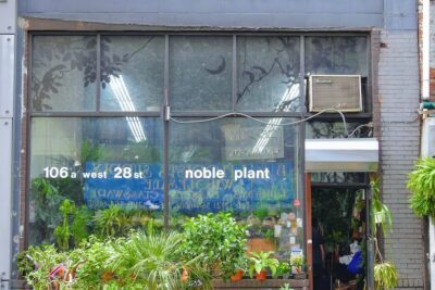 Plant nursery Noble Plants near me