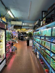 Aquarium shop Pacific Aquarium & Plant near me