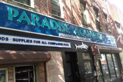 Pet store Paradise Aquarium near me