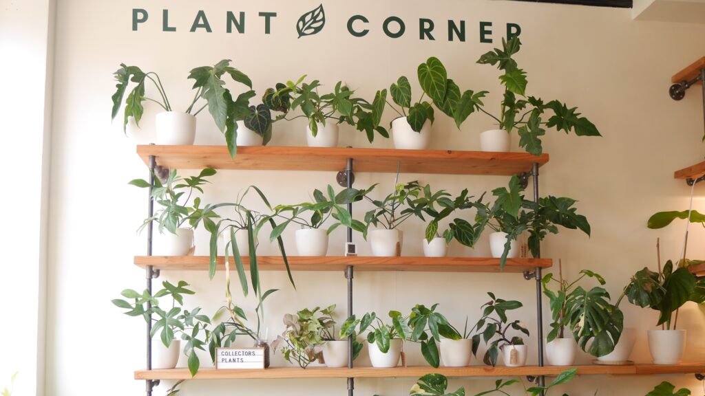 Plant nursery Plant Corner near me