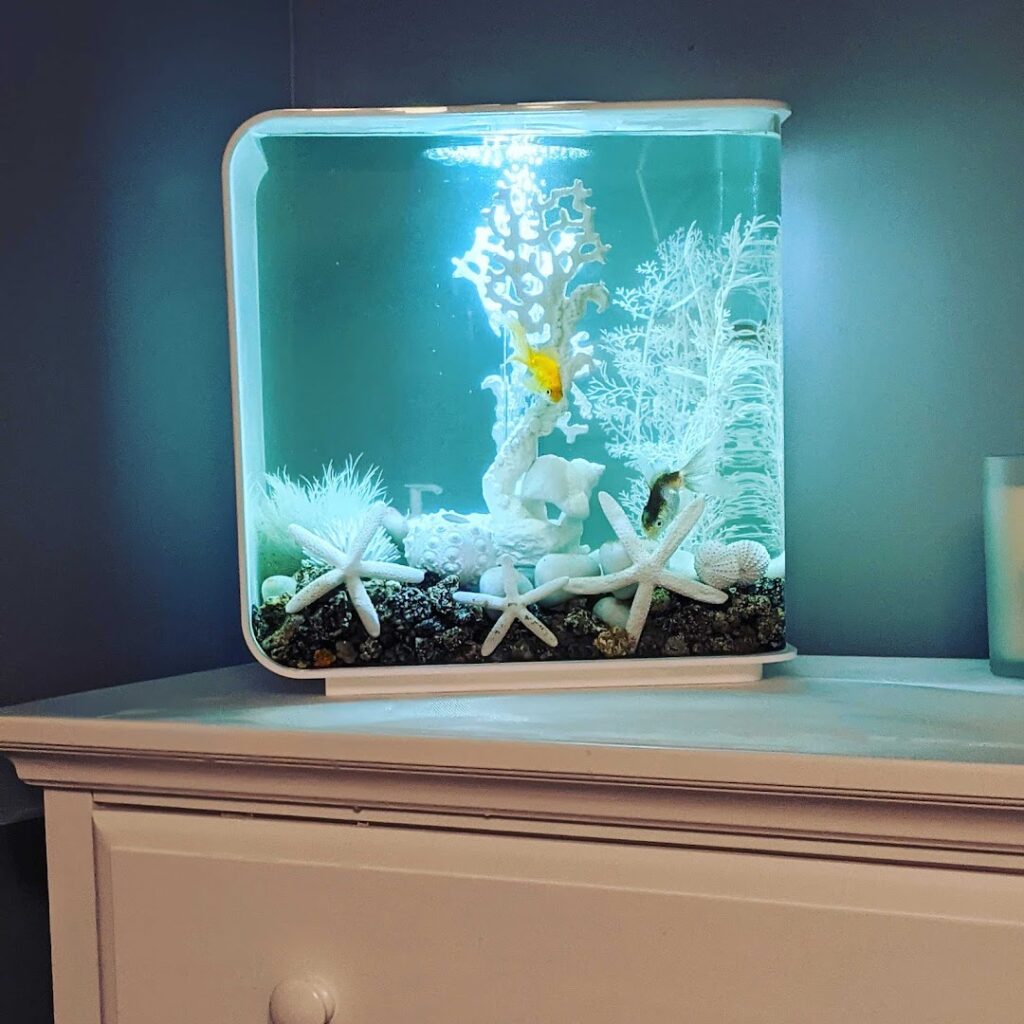 Aquarium shop Reef Ryders Aquarium Service And Maintenance near me