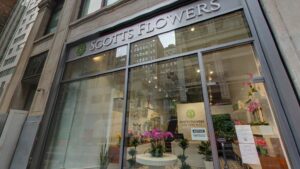 Florist Scotts Flowers NYC near me