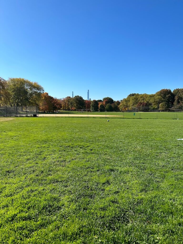 Park Soccer Field E near me