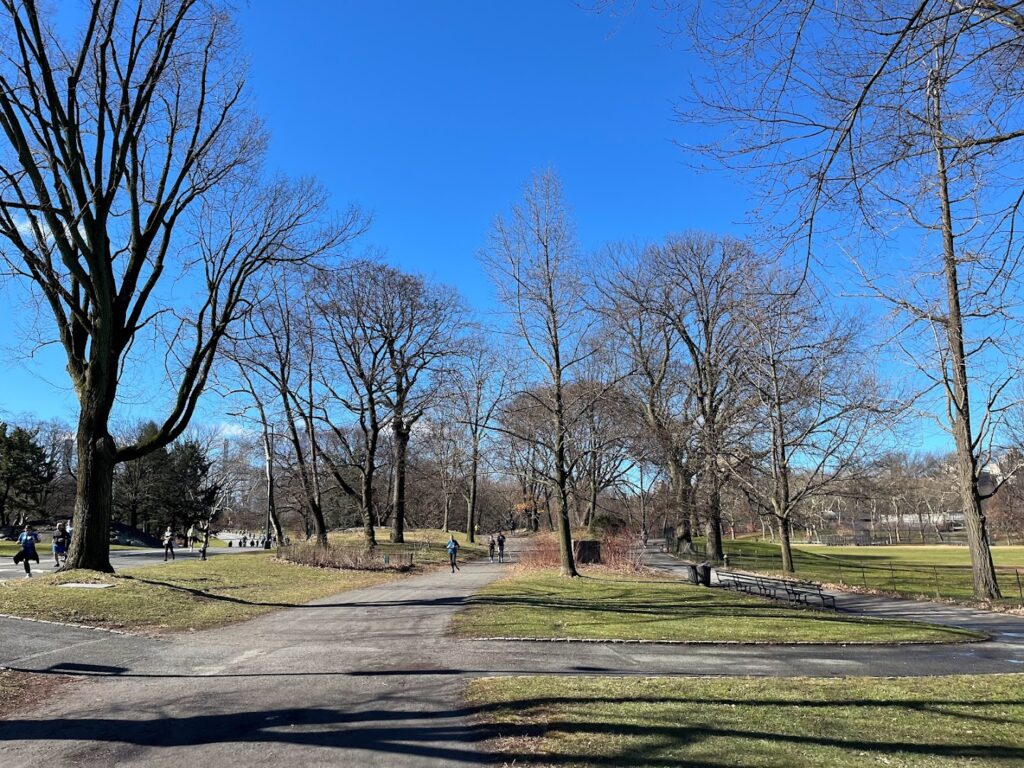 Park Soccer Field E near me