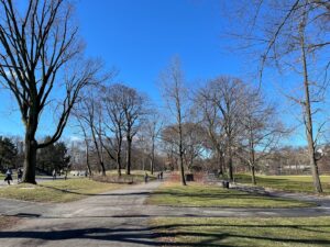 Park Soccer Field E near me