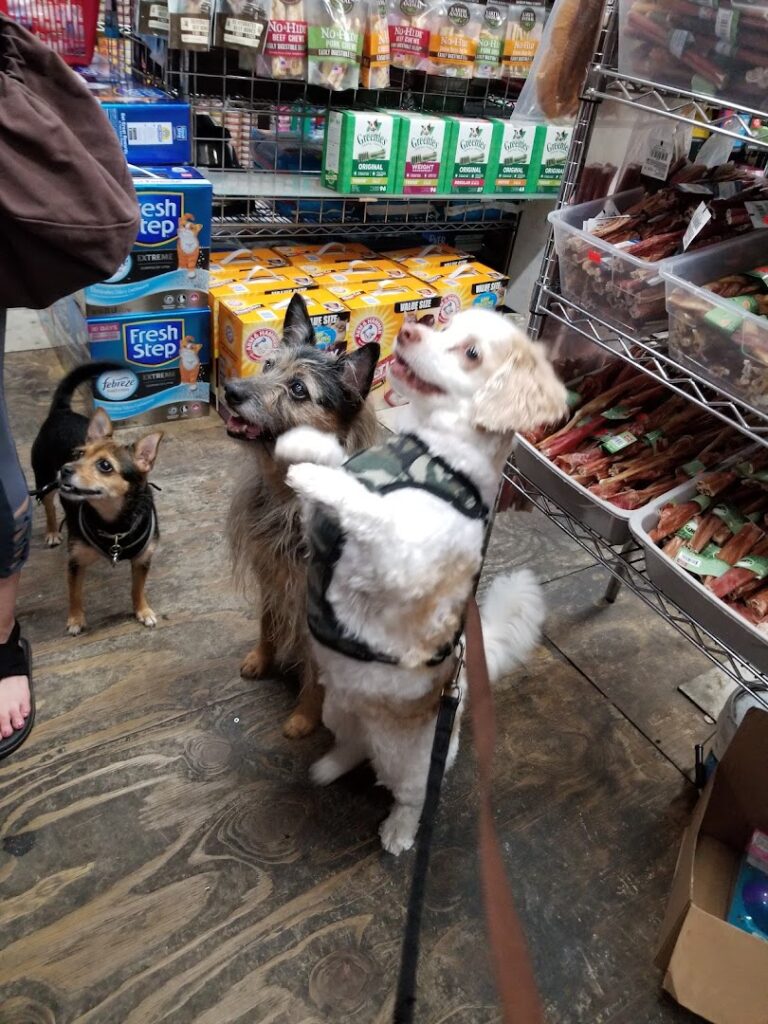 Pet supply store Spoiled Brats near me