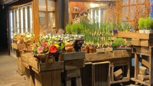 Florist Sunny's Florist near me