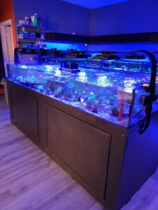 Tropical fish store near me