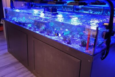 Tropical fish store near me