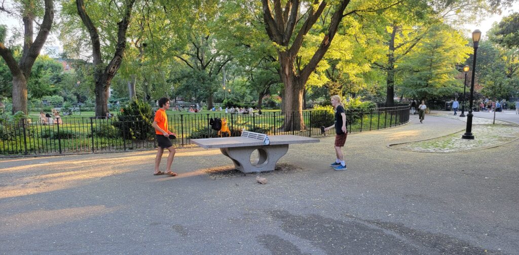 Table tennis facility Tompkins Square Ping Pong Table near me