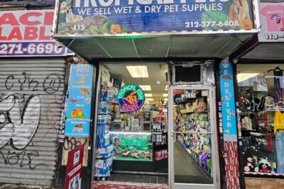 Pet store Tropical pets near me