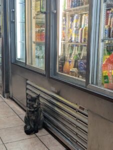 Mexican grocery store Zaragoza near me